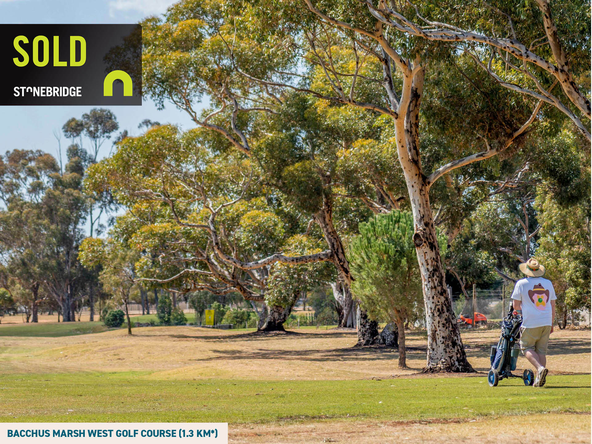 GriffithStreet_28_realcomms_V014_0378-6572771e32f01