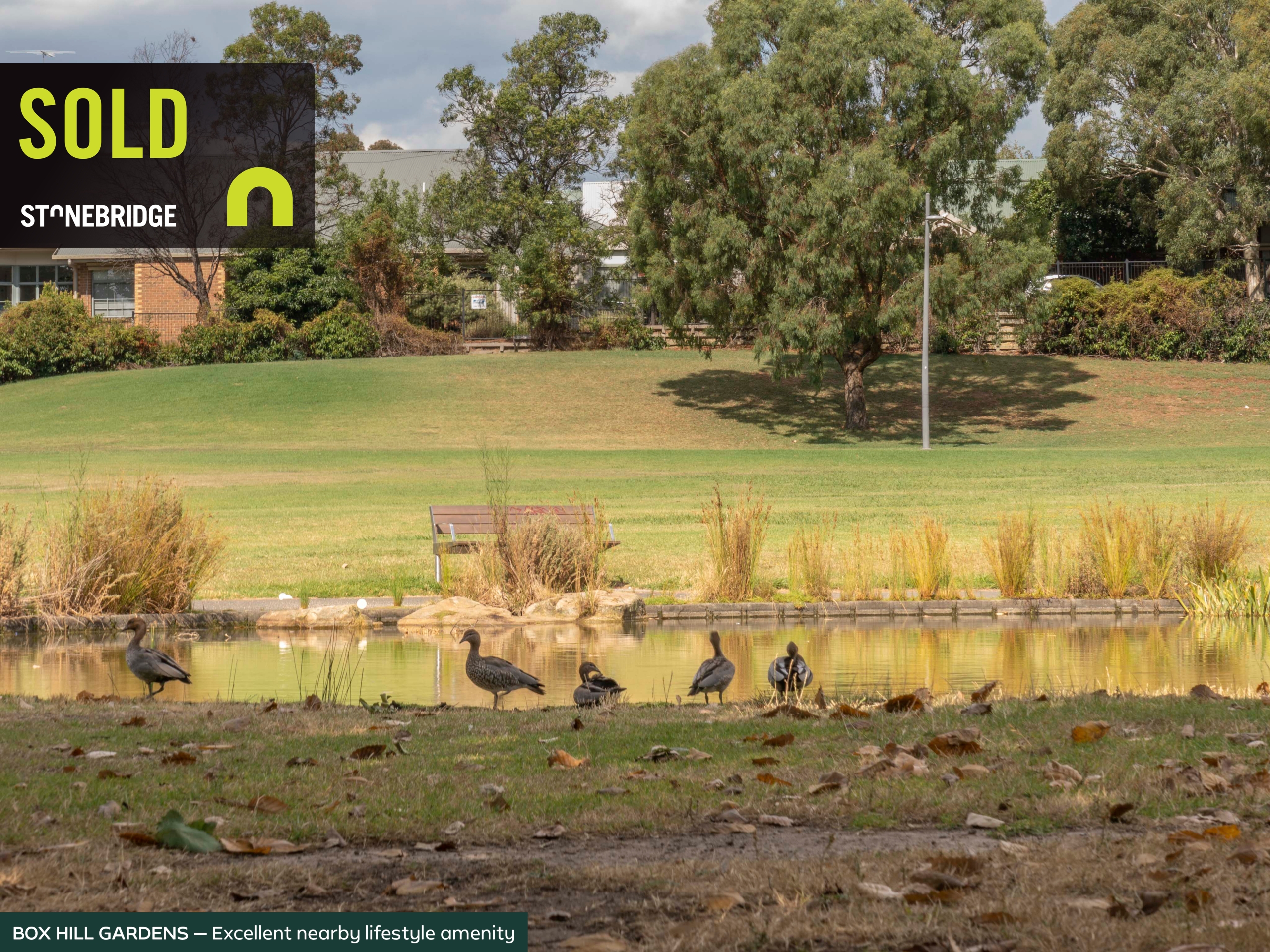 WhitehorseRd_874-878_Box_Hill_realcomms_v38_3781-64a4d50e6d4a3